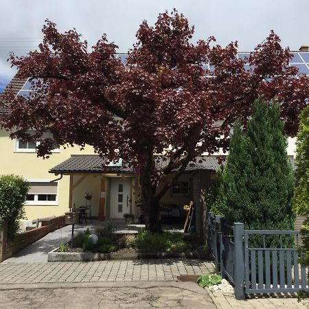 Apartmentvermietung Ingrid Bolkart - Voehlino 2 Illertissen Bagian luar foto