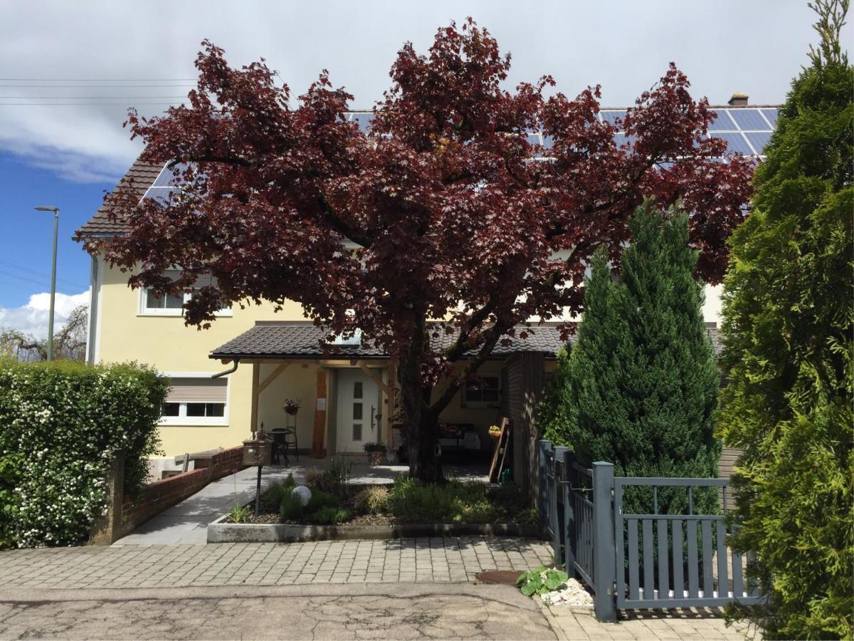Apartmentvermietung Ingrid Bolkart - Voehlino 2 Illertissen Bagian luar foto